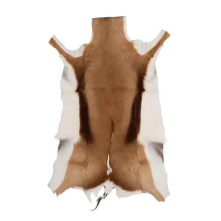 Springbok Hide Rug - The Art of Broken Pieces