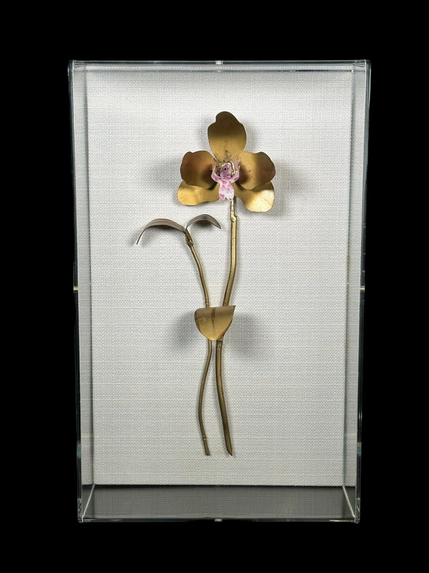 Tommy Mitchell - Orchid Study #1 - The Art of Broken Pieces
