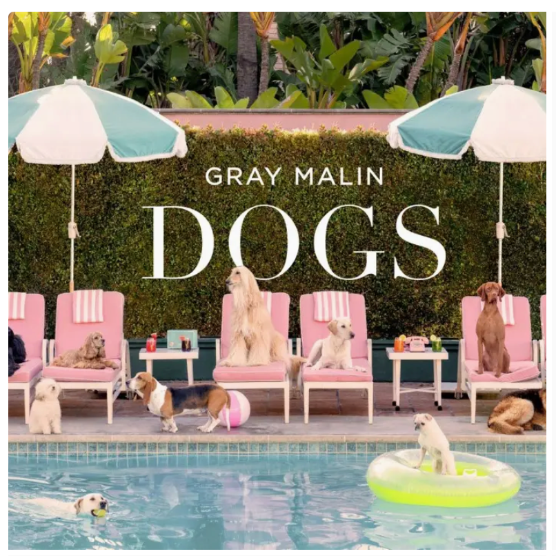Book - Dogs - LaFayes