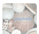 Book - Seashells : Photographs - LaFayes