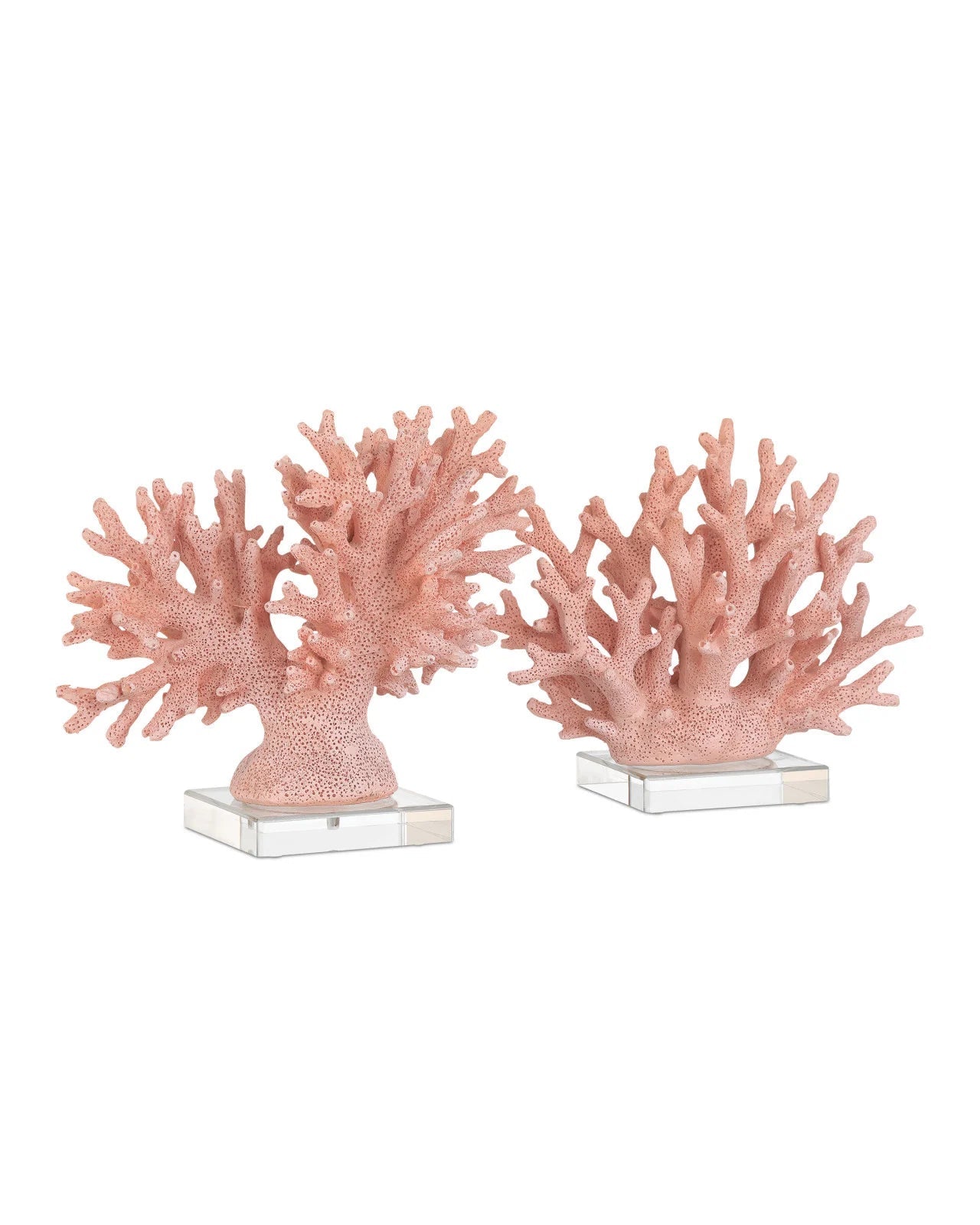 Fire Coral - Set of 2 - LaFayes